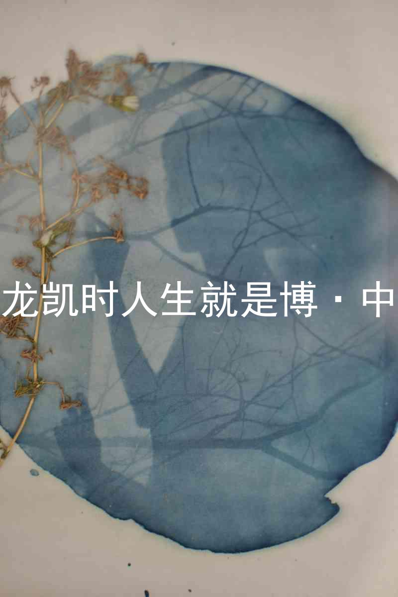 尊龙凯时人生就是博·中国