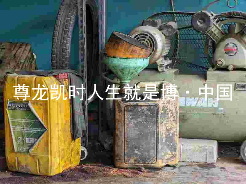 尊龙凯时人生就是博·中国