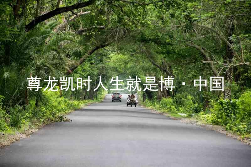 尊龙凯时人生就是博·中国